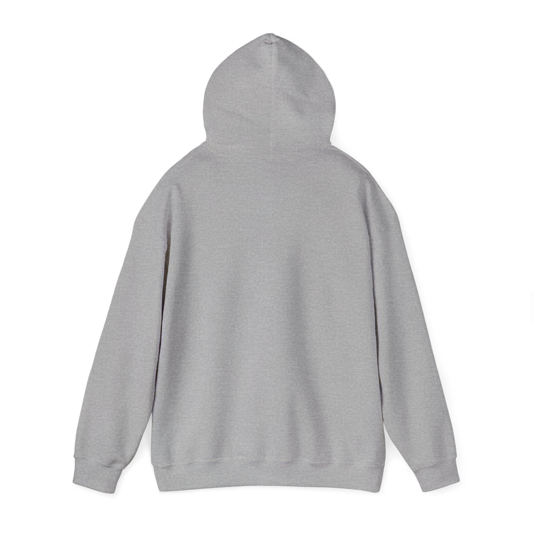 Unisex Urban Statement Hoodie IMGRNT.