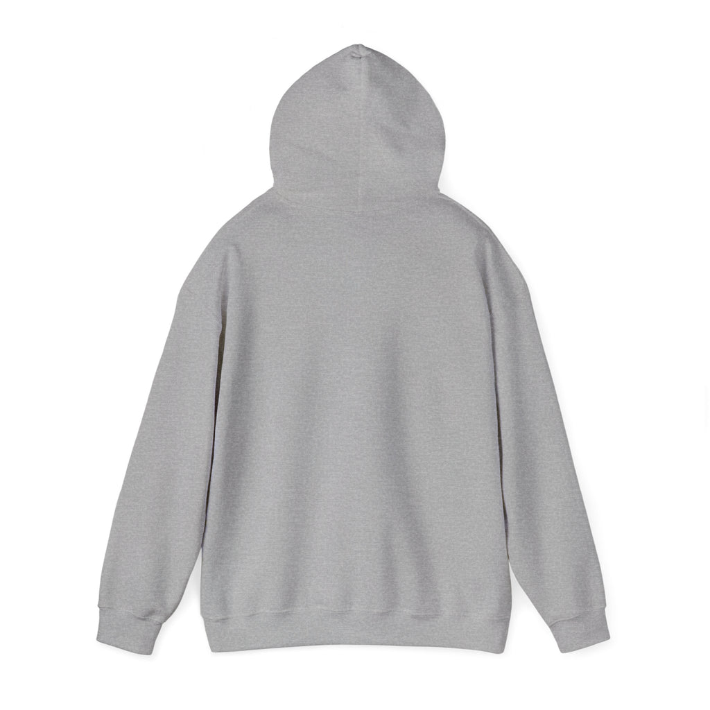 Unisex Urban Statement Hoodie IMGRNT.